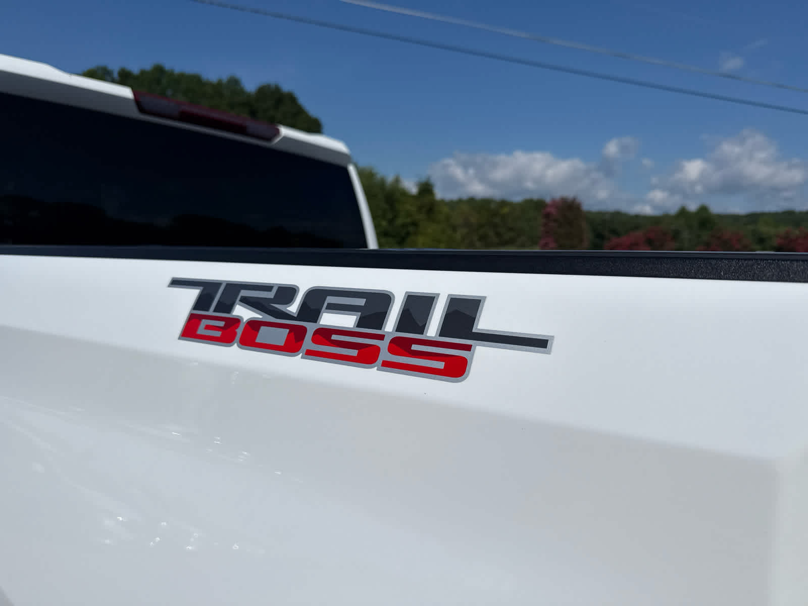 2024 Chevrolet Silverado 1500 4WD Crew Cab Short Bed Custom Trail Boss
