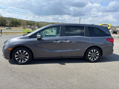 2024 Honda Odyssey EX-L
