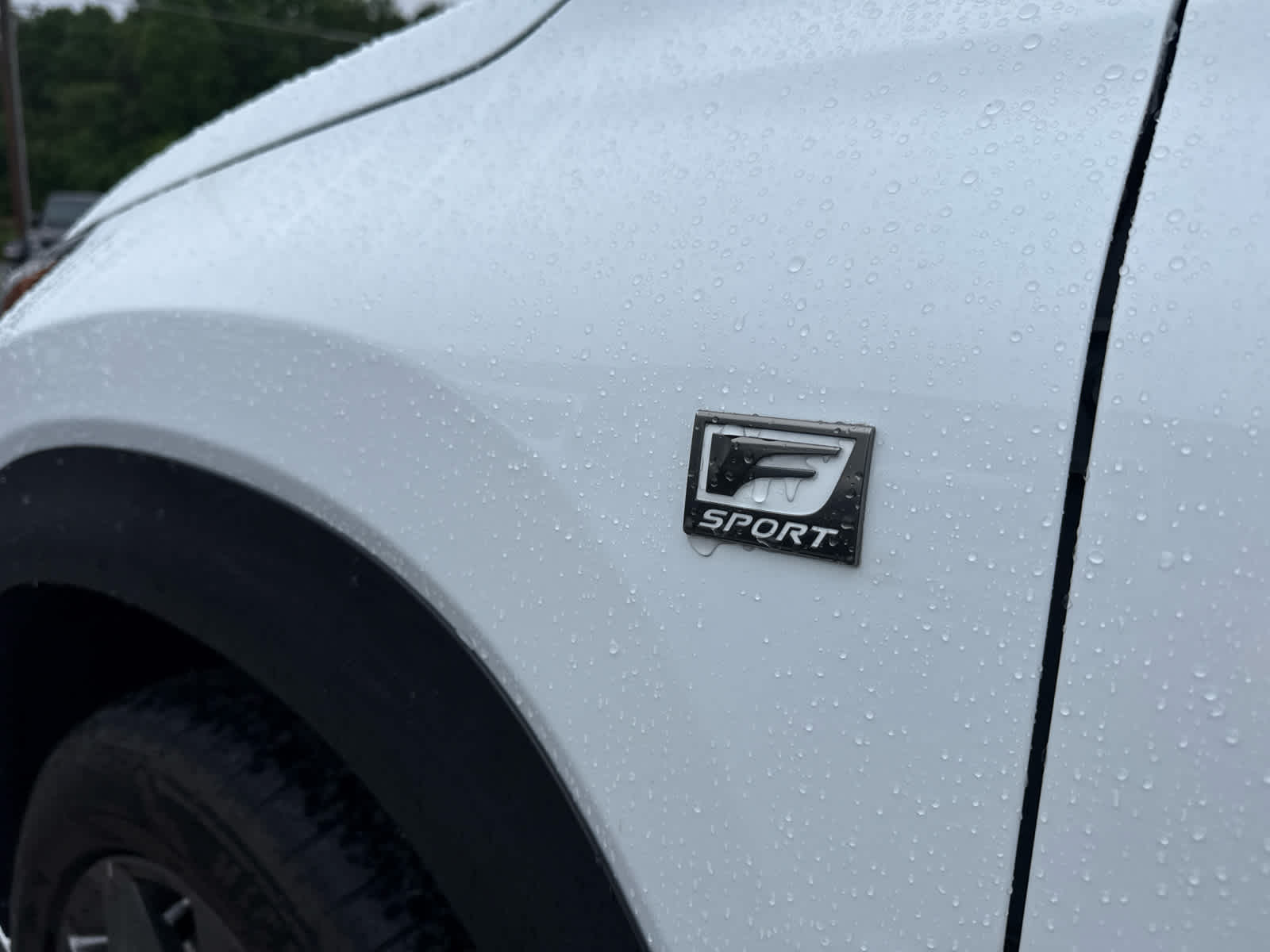 2021 Lexus NX 300 F SPORT