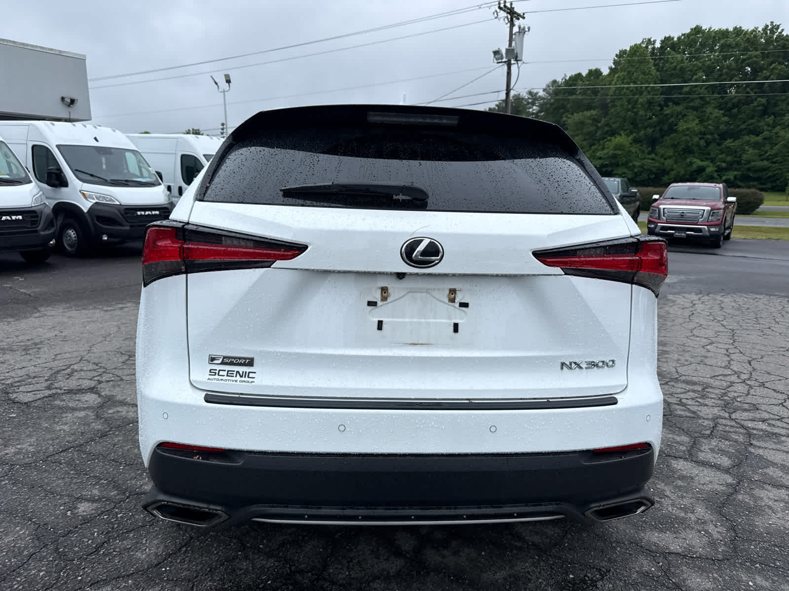 2021 Lexus NX 300 F SPORT