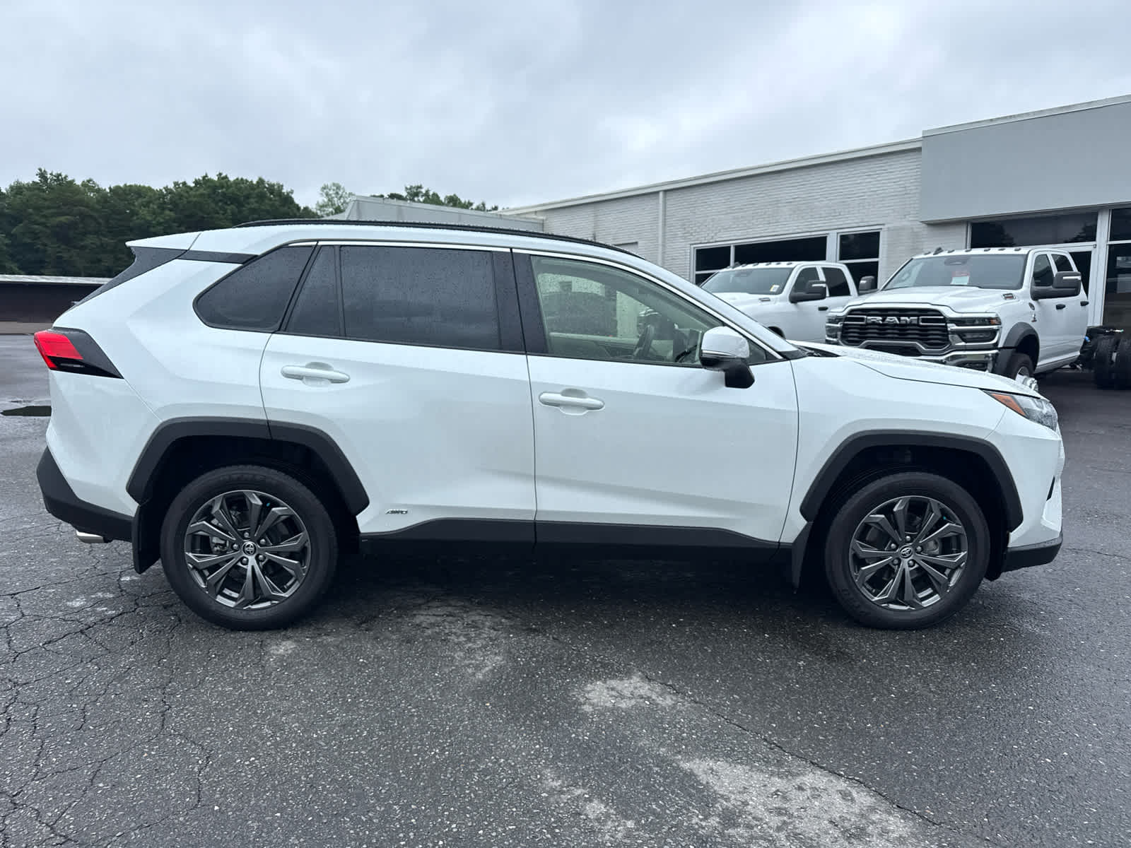 2025 Toyota RAV4 Hybrid XLE Premium